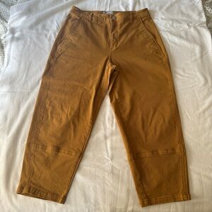 Everlane Utility Barrel pant